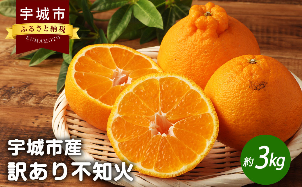 宇城市産 訳あり不知火 約3kg（7～12玉前後）【高岡農園】【2025年3月上旬～2025年4月上旬発送予定】不知火 デコポン 柑橘 果物 フルーツ 完熟