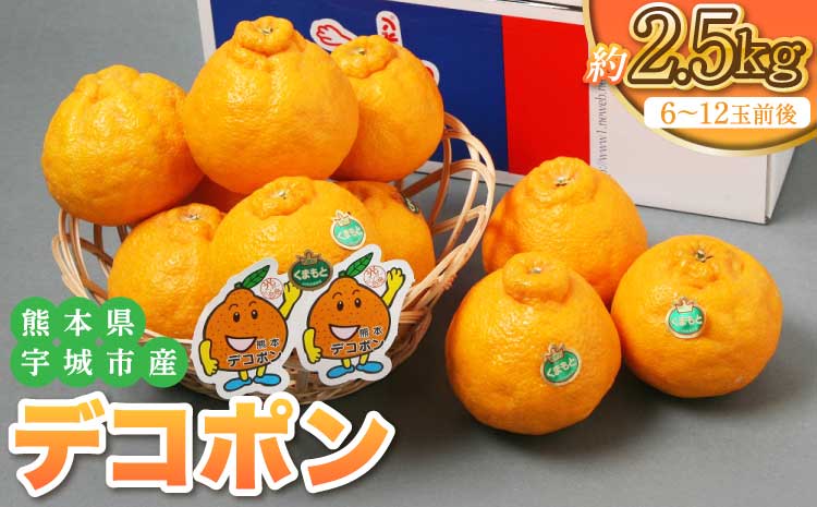 【2026年2月下旬〜5月中旬頃順次発送予定】熊本県宇城市産 デコポン 4L〜Sサイズ 約2.5kg でこぽん 不知火 果物 柑橘