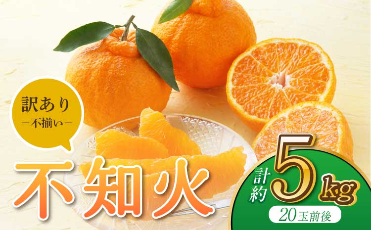 【先行予約】【2026年3月上旬から6月下旬発送予定】【うちやま果樹園】訳あり品 不知火 約5kg