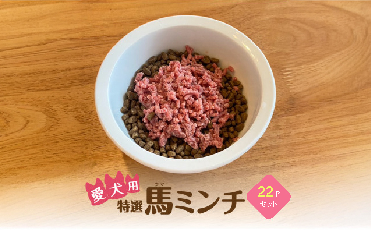 特選馬ミンチ45g 22パックセット ワンちゃん大喜び 馬肉ミンチ 犬用ミンチ 冷凍ミンチ 高タンパク 栄養満点 小分けパック 熊本県 宇城市 大阪馬肉屋TMP