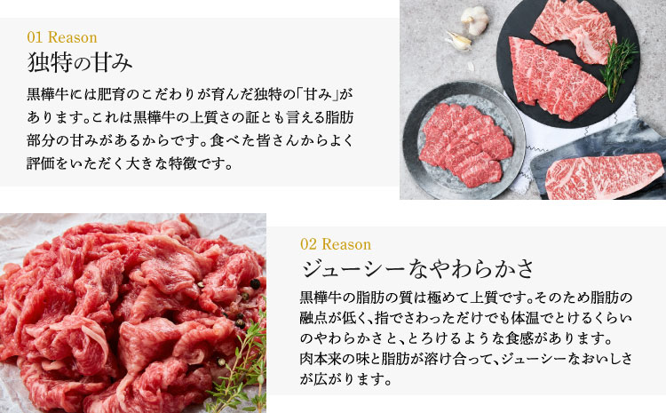 黒樺牛 ステーキ・焼き肉セット 約1.1kg 焼肉 牛肉 サーロインステーキ ロース焼き肉 白ホルモン タレ付き みそだれ 味噌 和牛 牛 ブランド牛 おかず BBQ バーベキュー 肉の日 冷凍 九州産 ギフト プレゼント 贈り物