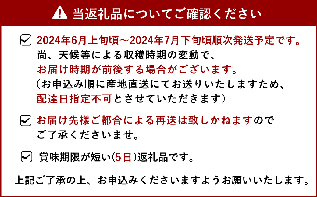 宇城市産 アールスメロン 2玉 フレッシュダイレクト【6月上旬～7月下旬発送予定】