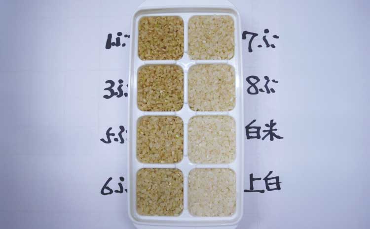 【令和7年産】季長米 5kg【竹崎野村農園】【2026年10月下旬までに発送予定】 うるち精米 ごはん ご飯 国産