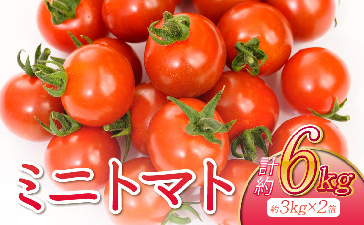【2025年11月下旬〜2026年5月上旬頃発送予定】ミニトマト 約3kg×2箱 合計約6kg