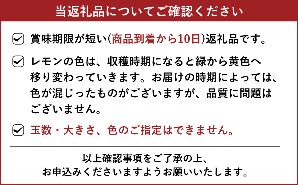 璃の香（りのか） 約3kg 10〜15玉 【吉田レモニー】【2024年8月下旬〜2025年1月下旬発送】檸檬 レモン れもん