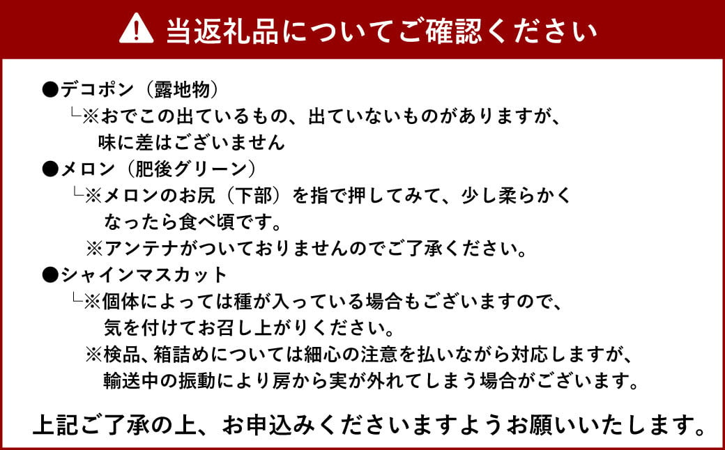 【2024年発送分 4回定期便】 宇城市産 旬の フルーツ 定期便