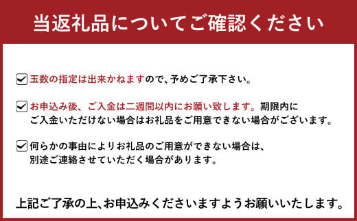 太秋柿 約2kg（4～6玉）【斉藤太秋柿園】【10月下旬から11月上旬発送予定】柿 かき 果物 フルーツ