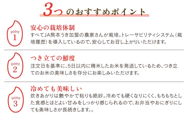 什å7å¹Žç£ ç±³ 森ã®ããŸãã 5kg ã2025幎11æäžæ¬ãã2026幎10æäžæ¬çºéäºå®ã çœç±³ ããã¡ç±³ ãç±³ 粟米 ã³ã¡ ãã¯ã ã飯 ããã 粟çœç±³ ãã©ã³ãç±³ åäžç±³ åœç£ çæ¬çç£ ä¹å· çæ¬ç å®ååž çæ¬å®å蟲æ¥ååçµå JAçæ¬ãã