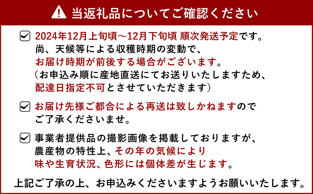 【先行予約】 宇城市産 加温栽培 不知火 約3kg（約7玉～10玉）【坂下園】【2024年12月上旬から下旬発送予定】しらぬい 蜜柑 熊本県産 九州産 国産