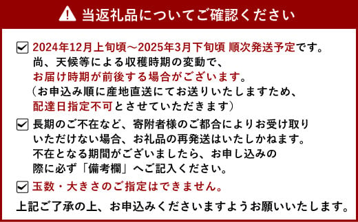 いちご 恋のぞみ 約400g×2パック 合計約800g 【12月上旬から2025年3月下旬発送予定】いちご イチゴ 苺 恋のぞみ フルーツ くだもの 果物 熊本県産 宇城市