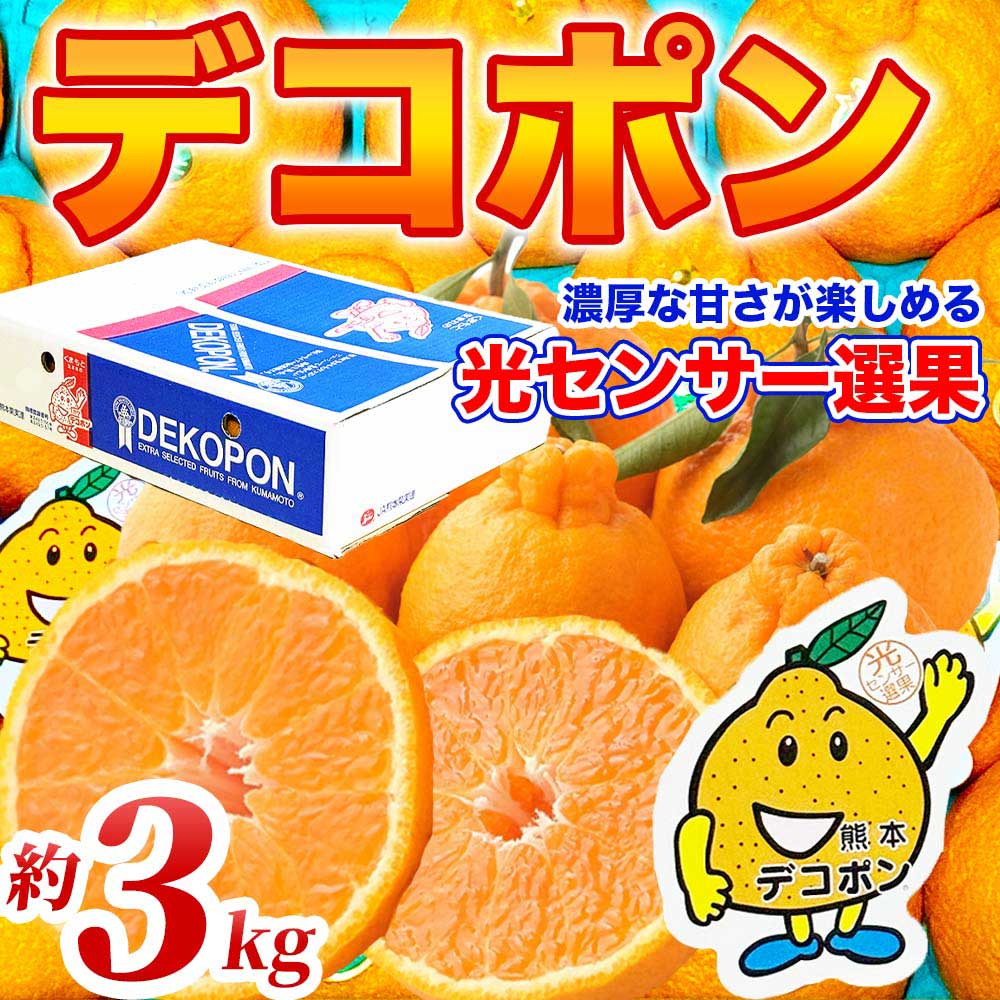 先行予約 デコポン 選べる容量 約3kg (6〜13玉)【2026年12月上旬〜2027年4月上旬配送予定】でこぽん 果物 フルーツ くだもの 柑橘 柑橘類 フルーツ 国産 熊本 熊本県 九州 産地直送 日本フルーツ