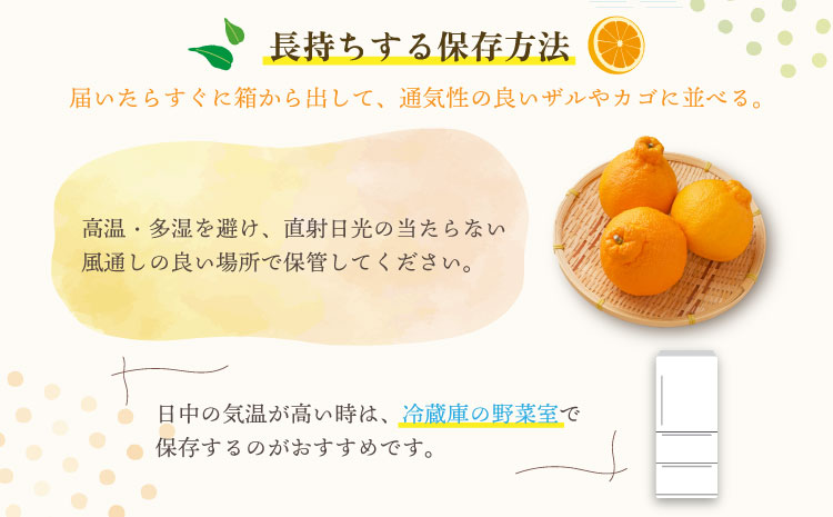 宇城市産  あーちゃん家の 不知火 5kg 【2026年4月上旬〜5月下旬発送予定】 しらぬい 柑橘 みかん ミカン 蜜柑 オレンジ 