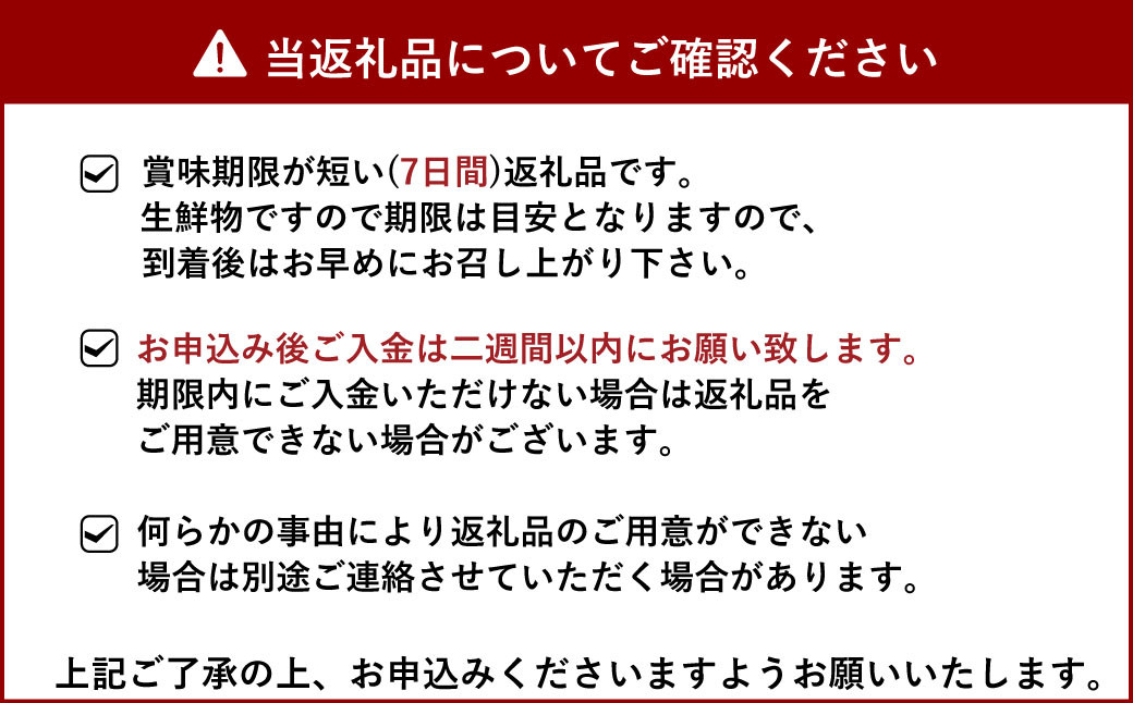 斎藤さん家の「生」れんこん 約2kg【2024年9月上旬～2025年3月上旬発送予定】レンコン 蓮根 根菜