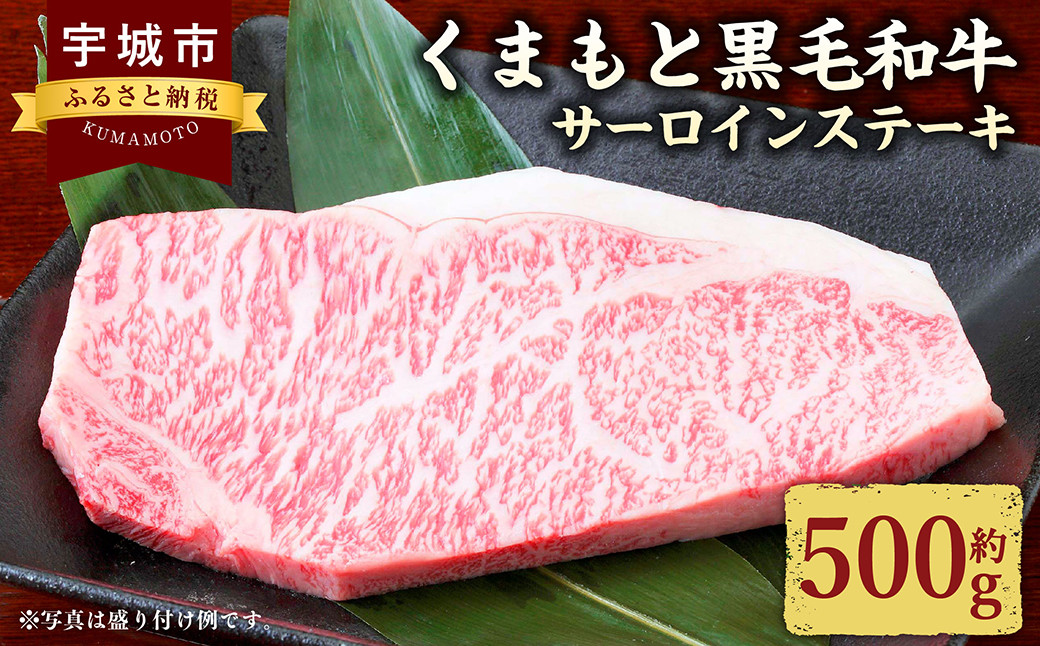 くまもと黒毛和牛 サーロインステーキ 500g （250g×2パック） 肉 お肉 牛 牛肉 和牛 サーロイン ステーキ 熊本 冷凍