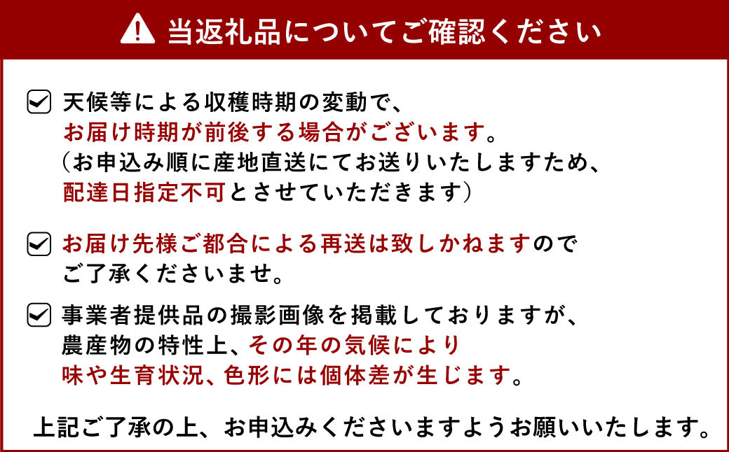 【令和6年産】森のくまさん 精米 約10kg【2025年10月下旬までに発送予定】米 精米