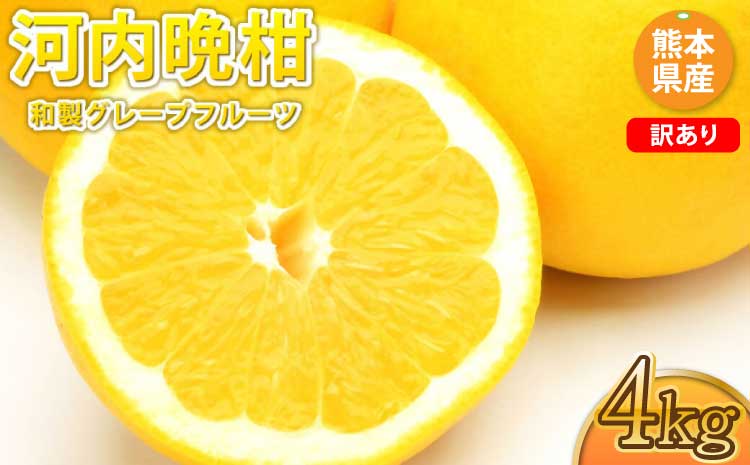 先行予約 訳あり 河内晩柑 ジューシーオレンジ 約4kg オレンジ みかん ミカン 蜜柑 柑橘 熊本県 宇城市 送料無料 2026年3月下旬から2026年7月下旬発送予定