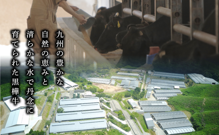 黒樺牛 ホルモン焼肉 みそタレセット 約1kg 200g×5 焼き肉 牛肉 もつ 牛ホルモン 和牛 牛 ブランド牛 おかず BBQ バーベキュー 味噌 肉の日 冷凍 九州産 ギフト プレゼント 贈り物