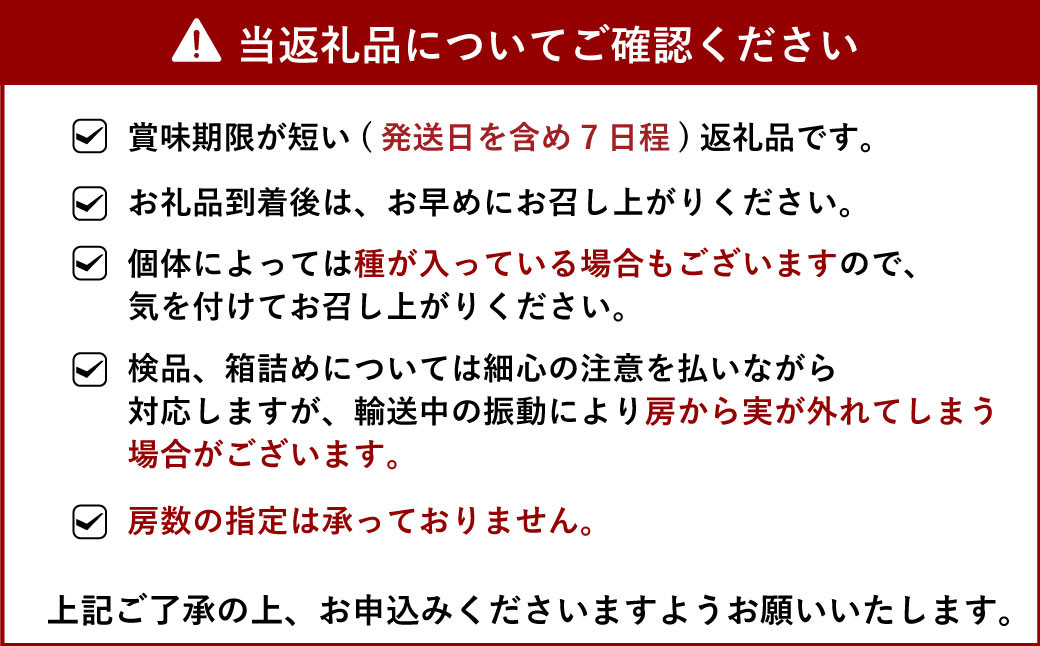 【先行予約】【2023年8月上旬より順次発送予定】宇城市産 シャインマスカット 約2kg（3～5房）宇城彩館 ぶどう