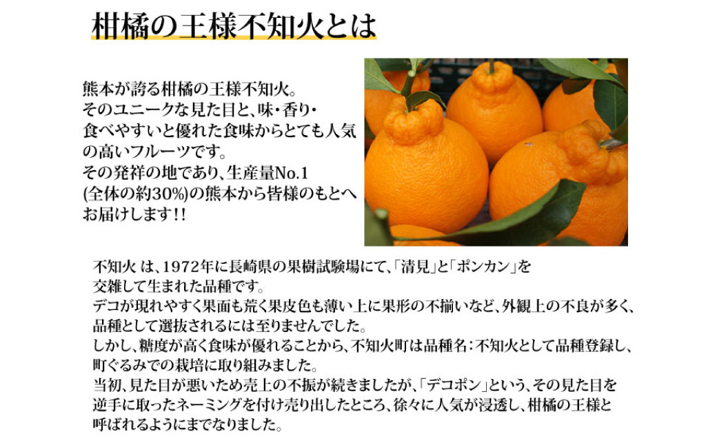 訳あり 不知火 7kg【2025年1月下旬から2025年4月下旬発送予定】 しらぬい 果物 フルーツ 規格外 不揃い