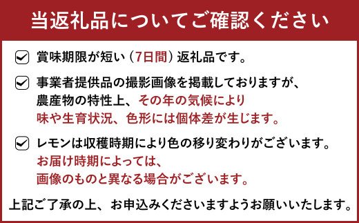 【9月下旬〜順次発送予定】宇城市産 グラントレモン 約3kg 高橋果樹園