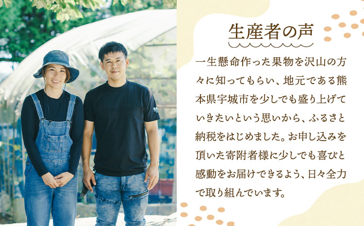 å
è¡äºçŽ èš³ãã äžç¥ç« æããäžç¥ç« éžã¹ã容é çŽ10kg ã2026幎4æäžæ¬ãã2026幎6æäžæ¬çºéäºå®ã åŸ¡è©ææš¹å ãããã äžæã ããã¬ã ææ© å®ååž çæ¬çç£