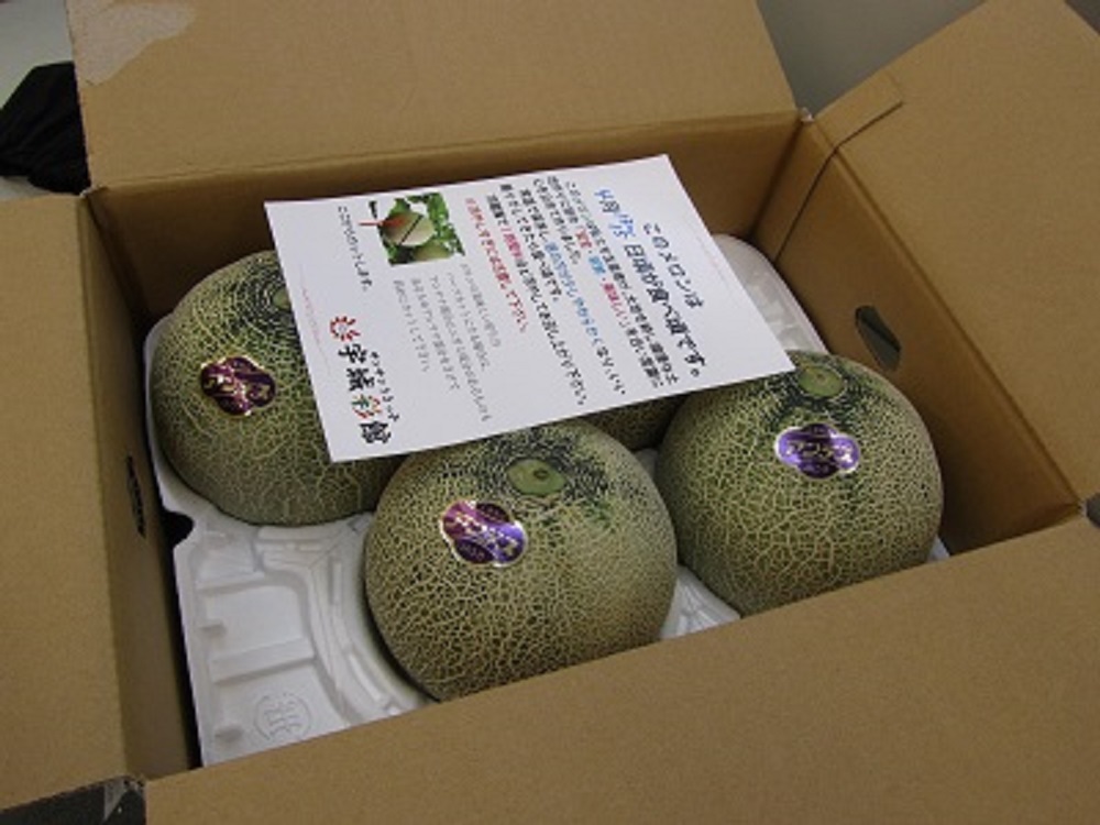 【先行予約】【2026年4月中旬〜5月中旬頃発送予定】アンデスメロン 4玉入り 合計約5kg