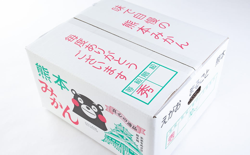 【先行予約】 熊本県 宇城市産 不知火 訳あり 約8kg 【2025年2月下旬から4月上旬発送予定】しらぬい 柑橘 フルーツ 果物 果実 みかん 蜜柑 ミカン