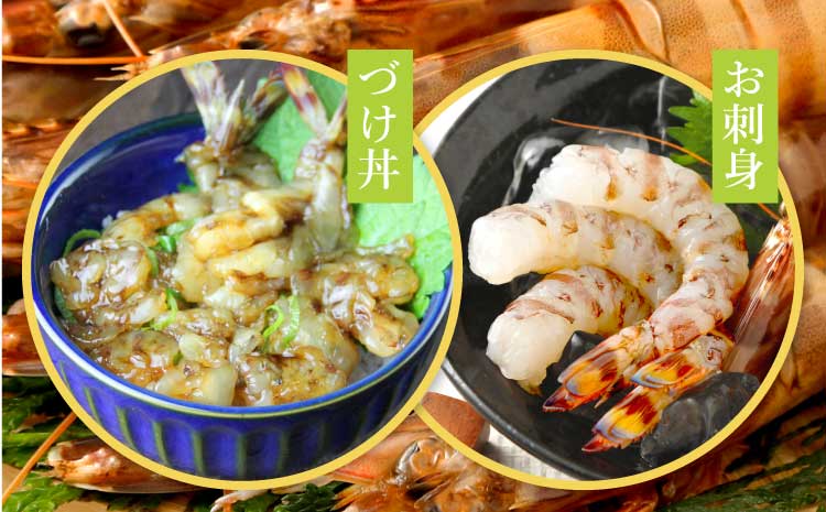 辭頑悽逵檎肇 諤・騾溷キ蜃 霆頑オキ閠 1kg(36縲52蟆セ) 逕滄」溷庄 迸ャ髢灘キ蜃