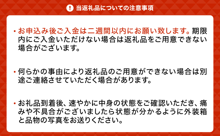 先行予約 黒いシャインマスカット 富士の輝 2房（約500g×2）計約1kg【2026年8月上旬から8月下旬発送予定】 清水果樹園 シャインマスカット マスカット ブドウ ぶどう 熊本県 宇城市