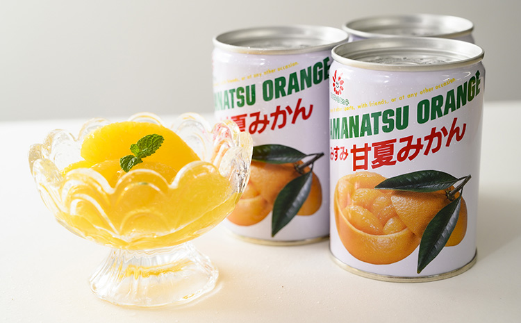 みかん 甘夏みかん 甘夏缶詰 12缶 固形量160g みかん缶 蜜柑 国産 缶詰 高級缶詰 みかん 缶詰め フルーツ缶詰 熊本みかん 備蓄用