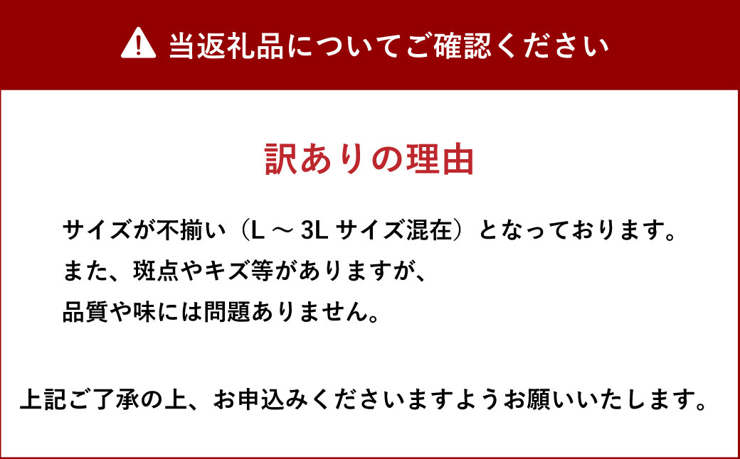 【先行受付】【2024年2月上旬より順次発送予定】 山口果樹園 訳あり不知火 約7kg L〜3L混合 柑橘 果物 フルーツ