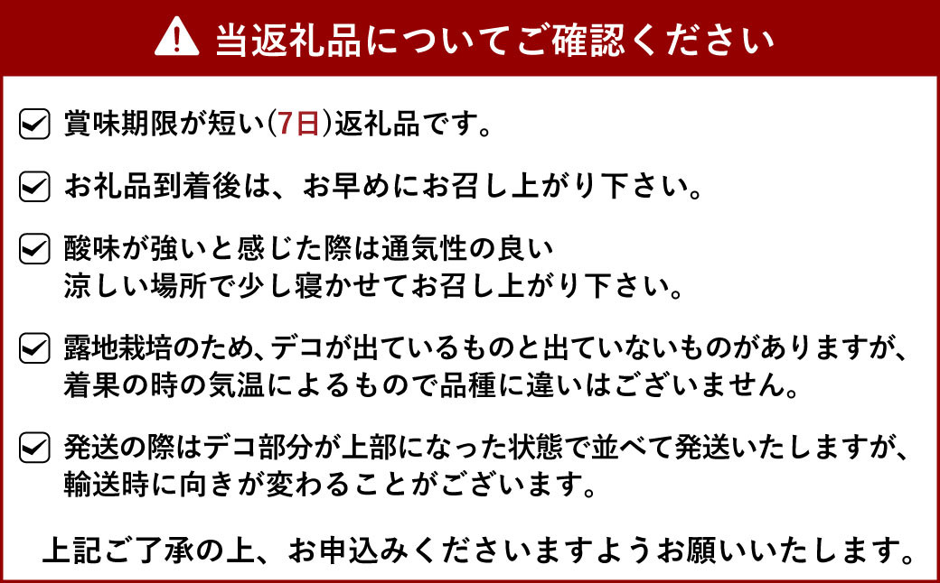 【先行予約】不知火 約5kg（15～22玉）【ひがし果樹園】【2025年3月上旬～4月下旬発送予定】柑橘 果物