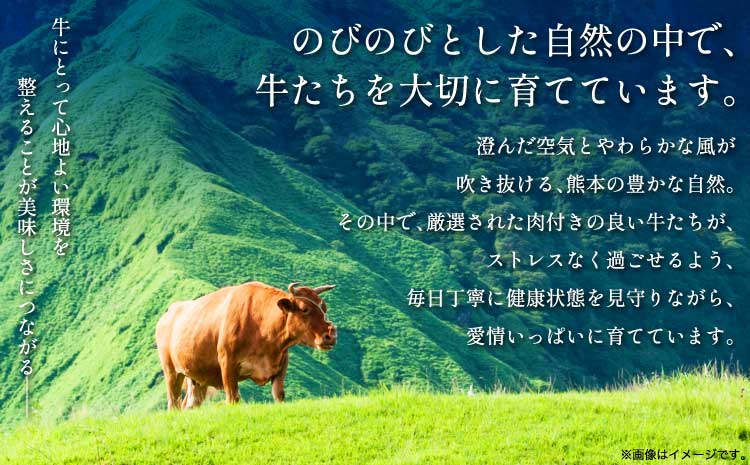 çæ¬çç£ ããç ããçŒã ããã¶ããã¶çš 800gïŒ400gÃ2ããã¯ïŒçè