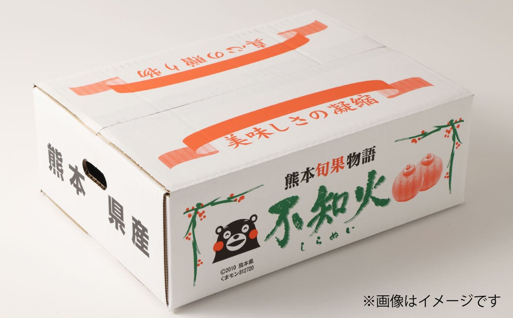 宇城市産 ハウス栽培 プラズマ完熟不知火 約3kg（7～12玉前後） 【高岡農園】【2025年3月上旬～2025年4月上旬発送予定】不知火 デコポン 柑橘 果物 フルーツ 完熟