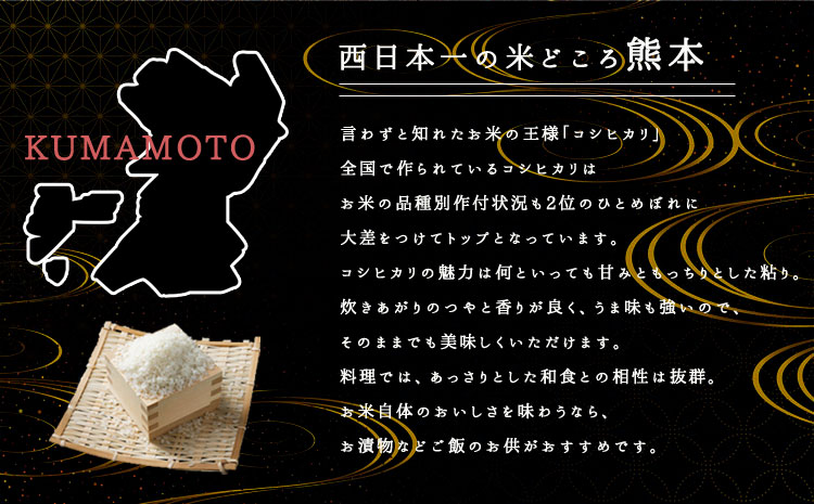 【令和6年度】内田農場の新米 コシヒカリ 5kg 1袋 白米 お米 人気 美味しい 白ご飯 こだわり 農業 甘味 香り ツヤ お米の王様 熊本県 阿蘇市