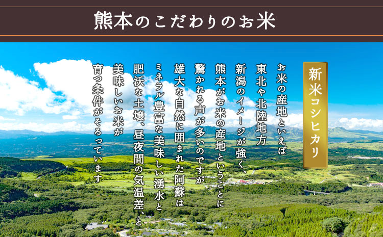 【令和6年度】内田農場の新米 コシヒカリ 30kg 白米 お米 人気 美味しい 白ご飯 こだわり 農業 甘味 香り ツヤ お米の王様 熊本県 阿蘇市