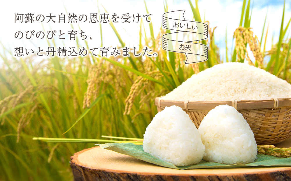 【お米】特別栽培米 ひとめぼれ 約27kg×1【（白米）阿蘇アグロスタイル 米 ごはん 人気 美味しい ヒトメボレ 甘味 もちもち なめらか 減農薬 湧水 熊本 阿蘇 熊本県 阿蘇市】