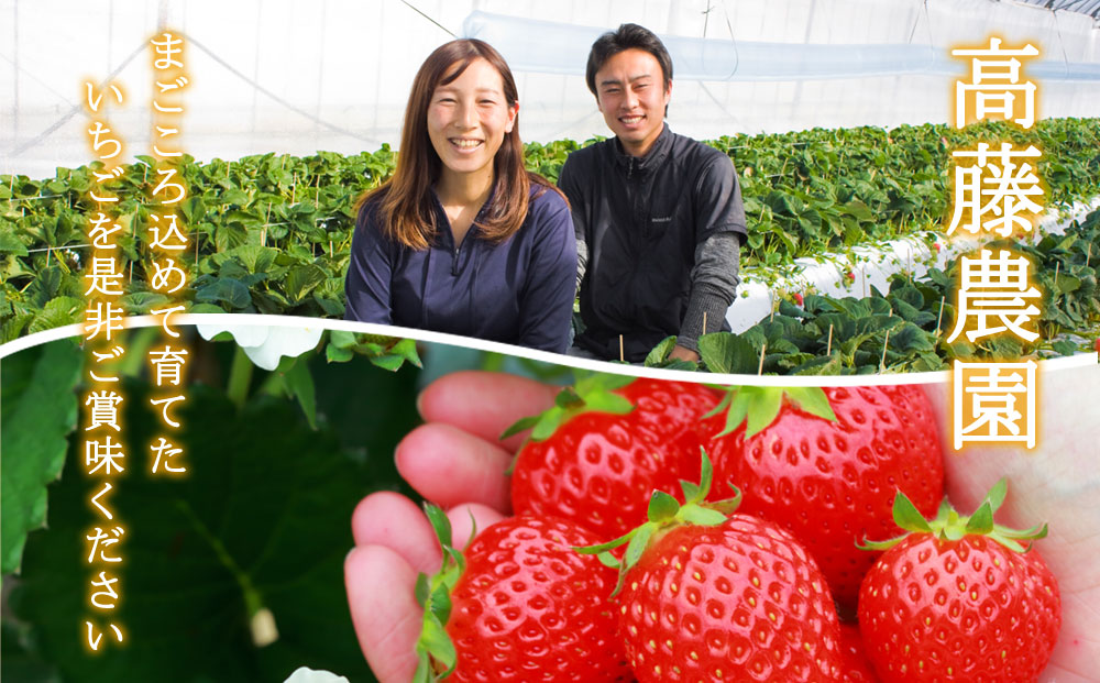 いちご 食べ比べセット ゆうべに・ひのしずく 各3パック 計6パック 高藤農園 美味しい 人気 あまい 甘い イチゴ 詰め合わせ フルーツ ゆうべに ひのしずく ふるさと納税 熊本 阿蘇