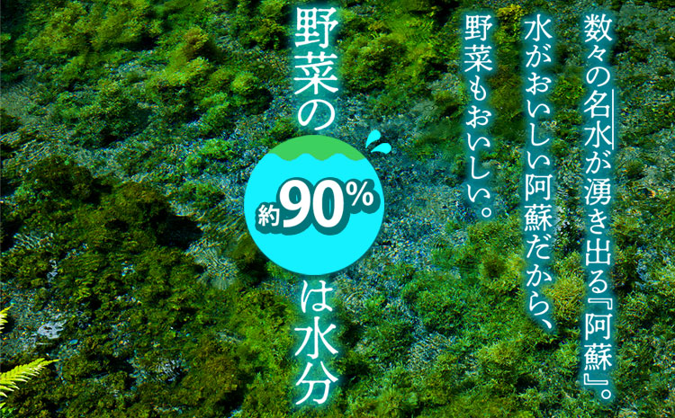 季節のお野菜セット XLサイズ 野菜 セット 詰め合わせ 新鮮 減農薬 旬 産地直送 採れたて 美味しい 人気 自然 安心 安全 旬 熊本 阿蘇