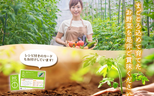 阿蘇高原 旬の野菜セット 5〜6品 ＆ 阿部牧場 牛乳(ASOMILK) ＆ お米2合 詰め合わせ 産地直送  熊本県 阿蘇市