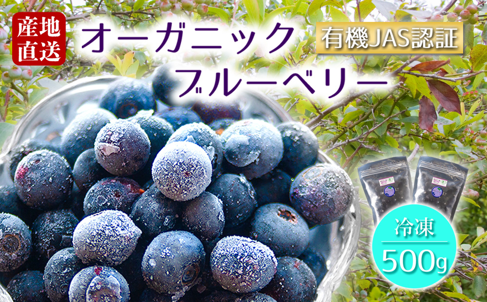 【冷凍】 有機JAS認証 オーガニック ブルーベリー 500g (250g×2P) 果物 フルーツ 有機JAS 小分け 冷凍 アイス スムージー ジュース ジェラート アレンジ 安心 安全 熊本 阿蘇