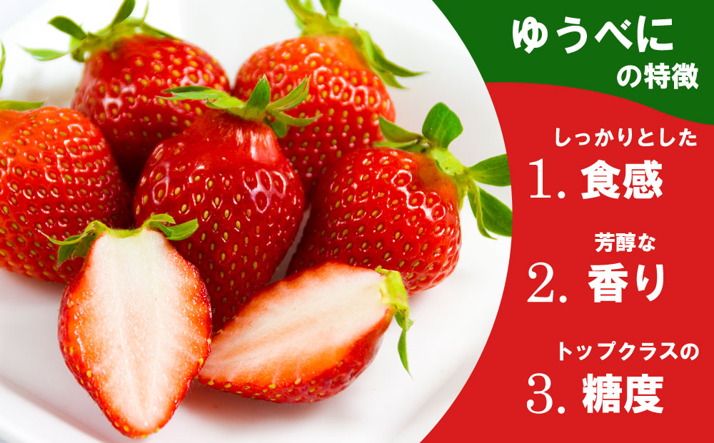 ããã¹ã«ã»æã¿ã®ã å2ãã㯠é£ã¹æ¯ã¹ã»ãã é«è€èŸ²å çŸå³ãã äººæ° ããŸã çã ãã¡ã èº ã€ã㎠詰ãåãã ãã«ãŒã ãµãããšçŽçš çæ¬ é¿è