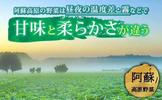 阿蘇高原 旬の野菜セット 5〜6品 ＆ 阿部牧場 牛乳(ASOMILK) ＆ お米2合 詰め合わせ 産地直送  熊本県 阿蘇市