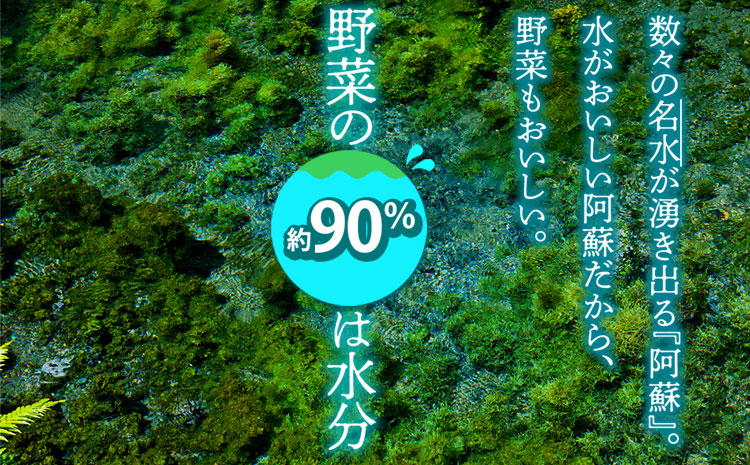 ãå®æäŸ¿ å
š12åã<çããçŽé>å£ç¯ã®ãéèã»ãã Mãµã€ãº éè 4ã6å è©°ãåãã æ°é®® æžèŸ²è¬ é«å æ¬ ç£å°çŽé æ¡ãã㊠çã çŸå³ãã äººæ° å®å¿ å®å
š çæ¬ç é¿èåž