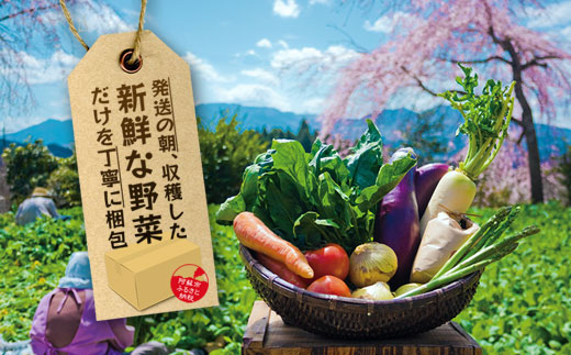 阿蘇高原 旬の野菜セット 5〜6品 ＆ 阿部牧場 牛乳(ASOMILK) ＆ お米2合 詰め合わせ 産地直送  熊本県 阿蘇市
