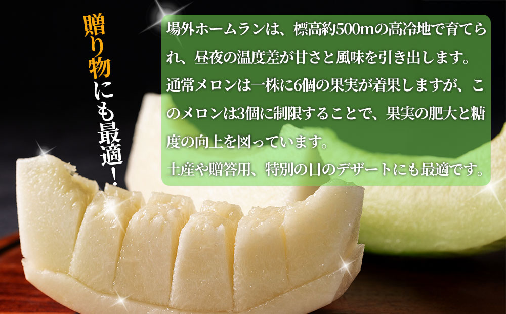 場外ホームランメロン 甘い 白い 希少メロン フルーツギフト ギフト 贈答用 お祝い【6月上旬より順次発送】 熊本県 阿蘇市 