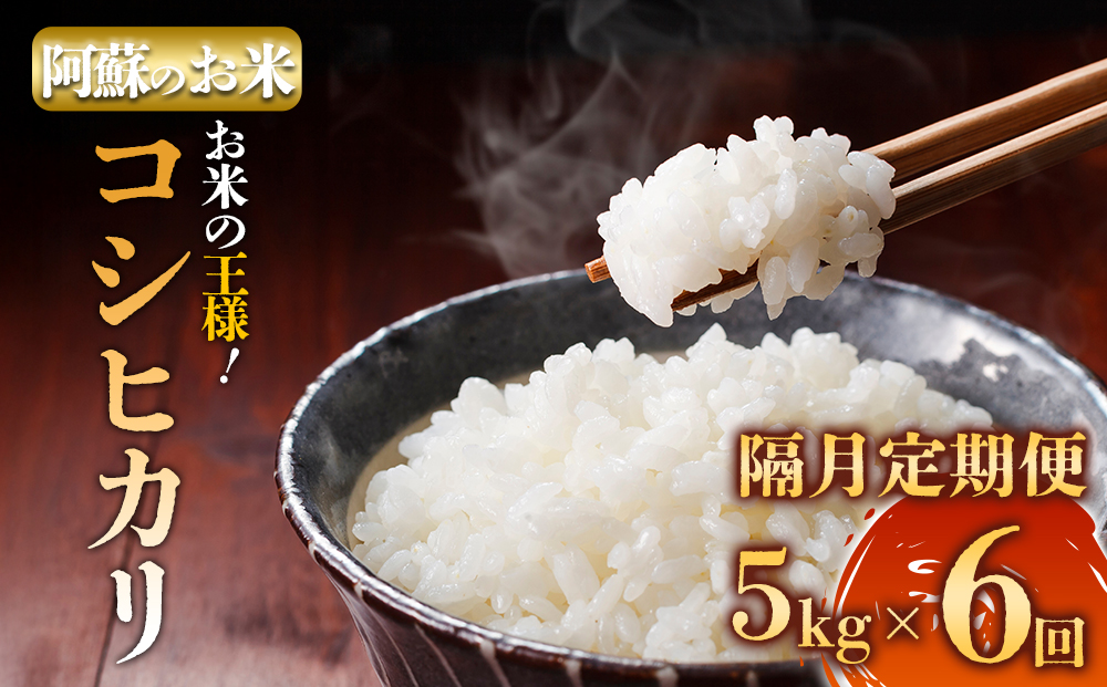 【選べる回数】【定期便隔月6回】R7年産コシヒカリ 5kg プロ厳選の産地直送米 白米 お米 人気 美味しい 白ご飯 こだわり 農業 甘味 香り ツヤ お米の王様 熊本県 阿蘇市