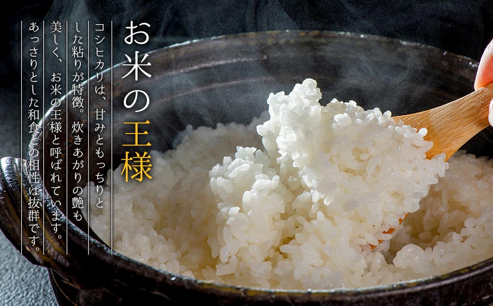 ãéžã¹ãåæ°ãR7幎ç£ã³ã·ãã«ãª 5kg ããå³éžã®ç£å°çŽéç±³ãçœç±³ ãç±³ äººæ° çŸå³ãã çœã飯 ãã ãã èŸ²æ¥ çå³ éŠã ã〠ãç±³ã®çæ§ çæ¬ç é¿èåž