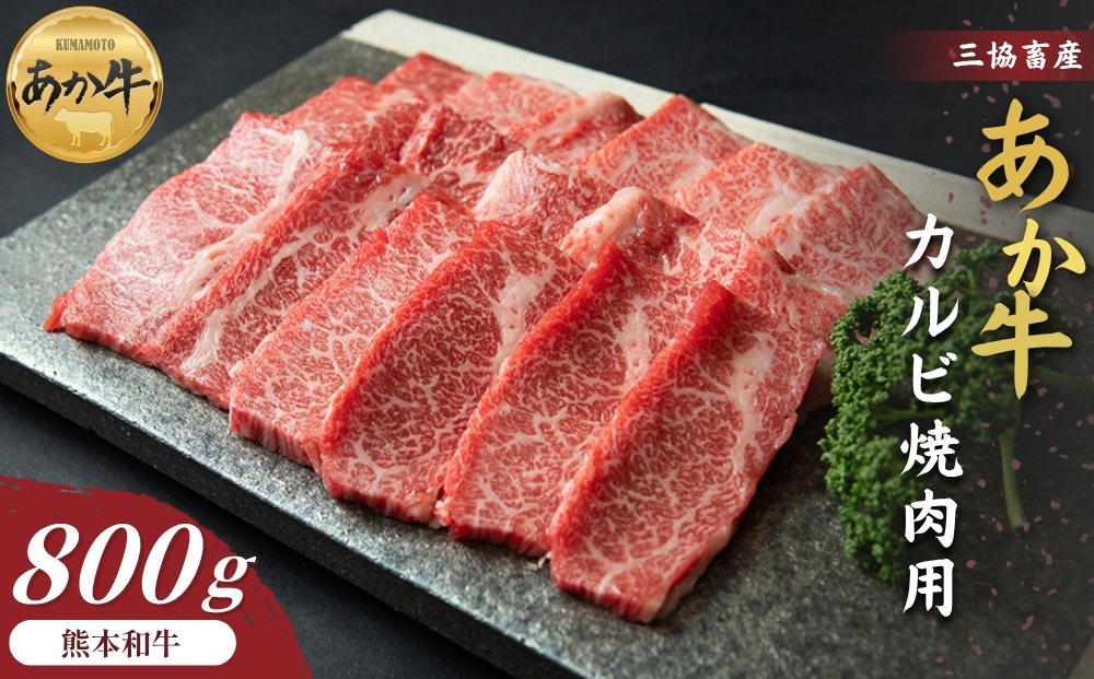 【三協畜産】熊本和牛あか牛カルビ焼肉用 800g 赤牛 牛肉 国産 簡単 お取り寄せ 冷凍 ギフト 贈り物 贈答用 豪華 おかず 手軽 ご褒美 お祝い 人気 晩ご飯 熊本県 阿蘇市