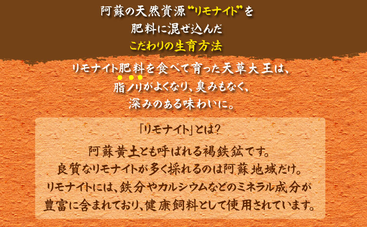 【JALふるさと納税限定】ご当地直行便　天草大王と阿蘇タカナード　くまもと地鶏 地鶏 肉 鶏肉 もも　人気 希少 貴重 美味しい ヘルシージューシー コラーゲン　高菜　農林水産省　優良ふるさと食品　 熊本 阿蘇